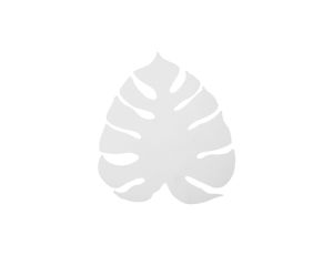 Kinkiet MONSTERA WHITE 3 PŁ 4667 TK Lighting