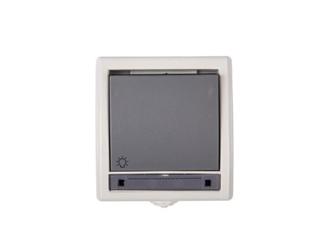 AQUANT Łącznik przycisk /światło/ IP55 szary LNT-1S 1204-10