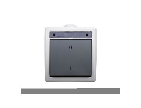 AQUANT Łącznik dwubiegunowy natynkowy ŁNT-2 10A IP55 szary 1203-10