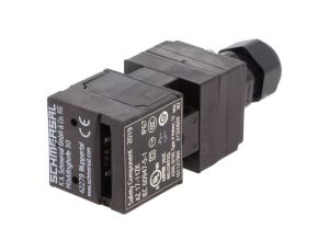 Wyłącznik bezpieczeństwa: kluczowy NC + NO AZ 17-11ZK