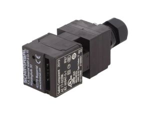 Wyłącznik bezpieczeństwa: kluczowy NC x2 AZ 17-02ZRK