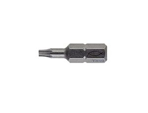 Bit profesjonalny FPB T10 PROFI BIT W 2 533078 /2szt./