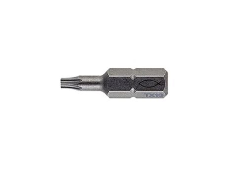 Bit profesjonalny FPB T10 PROFI BIT W 2 533078 /2szt./
