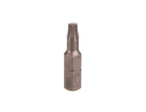 Bit profesjonalny PROFI BIT FPB T20 W 10 557847 /10szt./