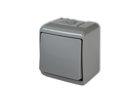 JUNIOR Łącznik jednobiegunowy popielaty IP54 10WHE-1