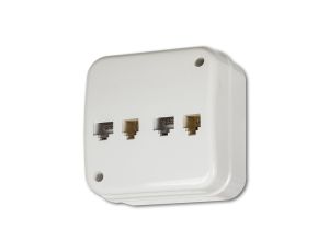 LIZA Gniazdo teleinformatyczne n/t 2xRJ11, 4-stykowe + 2xRJ45, kat. 5e, 8-stykowe biały GNTK-4