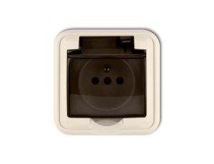 LIZA Gniazdo bryzgoszczelne z/u (klapka dymna) beżowy 1GPH-1zd