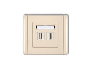 FLEXI Gniazdo podwójne 2xUSB-AA beżowy 1FGUSB-2