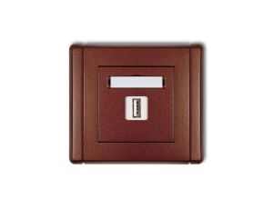 FLEXI Gniazdo pojedyncze USB-AA brązowy metalik 9FGUSB-1