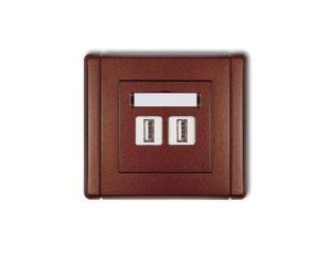 FLEXI Gniazdo podwójne 2xUSB-AA brązowy metalik 9FGUSB-2