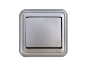 LIZA Łącznik jednobiegunowy srebrny 5WPT-1