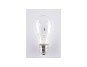 Żarówka E27 A55L 40W 580lm 2700K 24V SOLEO niskonapięciowa wysokotemperaturowa WST-2659