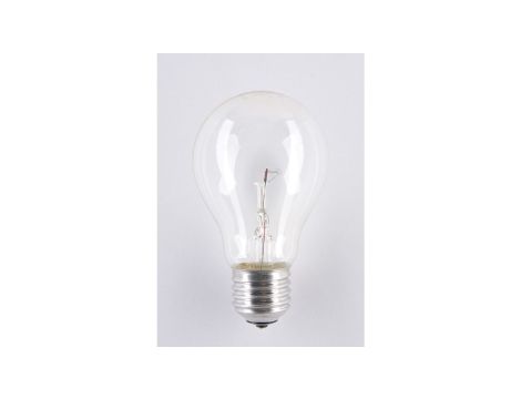 Żarówka E27 A55L 60W SOLEO niskonapięciowa wysokotemperaturowa WST-2660