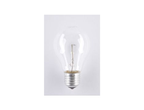 Żarówka E27 A55L 100W 24V SOLEO niskonapięciowa wysokotemperaturowa WST-2662