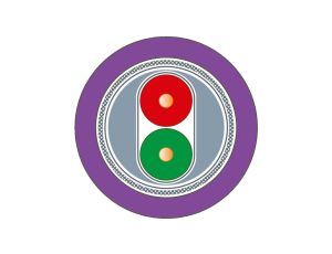 Przewód PROFIBUS FC standard 6XV1830-0ET10 /100m/